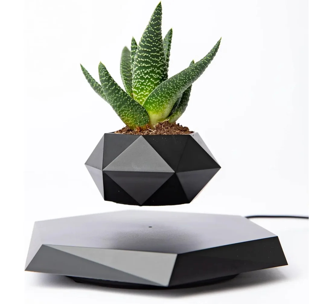 Floating Plant Stand